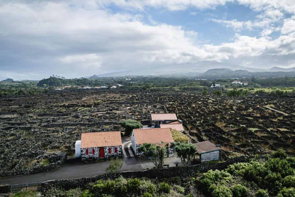 Adega Dos Virgilios Villa Cabo Branco Eksteriør billede